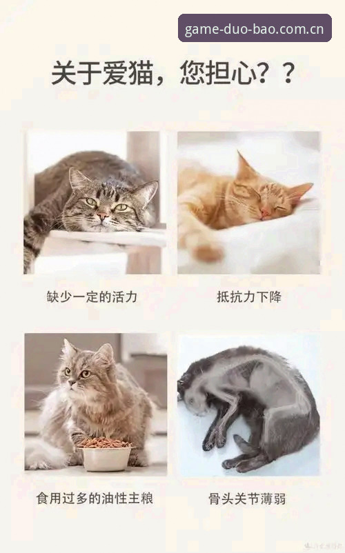 多宝体育登录入口2026最新版本 资深用户亲测:多宝体育登录入口2026最新版本使用心得,这些细节值得关注